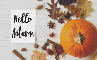 Selamlaşma kartı ve balkabağı üzerine sonbahar metni, sonbahar yaprakları, anason, çam kozalakları, ahşap arka planda meşe palamudu. Yaratıcı modern sonbahar kartpostalı. Hoşgeldiniz Sonbahar