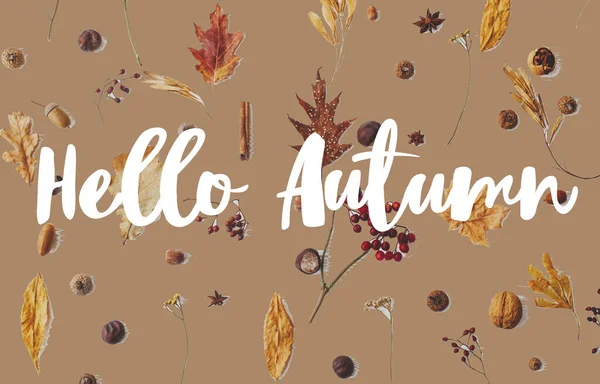 秋の葉にこんにちは秋のテキスト ベリー アコーン クルミ シナモンと気まずい茶色の背景にアニス 創造的な現代の秋のグリーティングカード フラットレイアウト ようこそ秋 — ストック写真