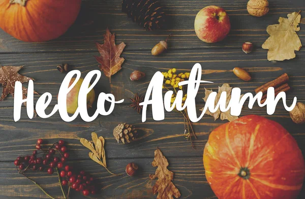 Hallo Herbsttext Auf Kürbissen Herbstblättern Äpfeln Anis Zapfen Eicheln Und — Stockfoto