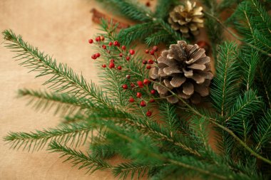 Köy ağacında Noel ağacı dalları, kırmızı böğürtlen ve çam kozalakları. Kış tatili doğal dekor ve mevsim kutlamaları. Mutlu Noeller ve mutlu tatiller!