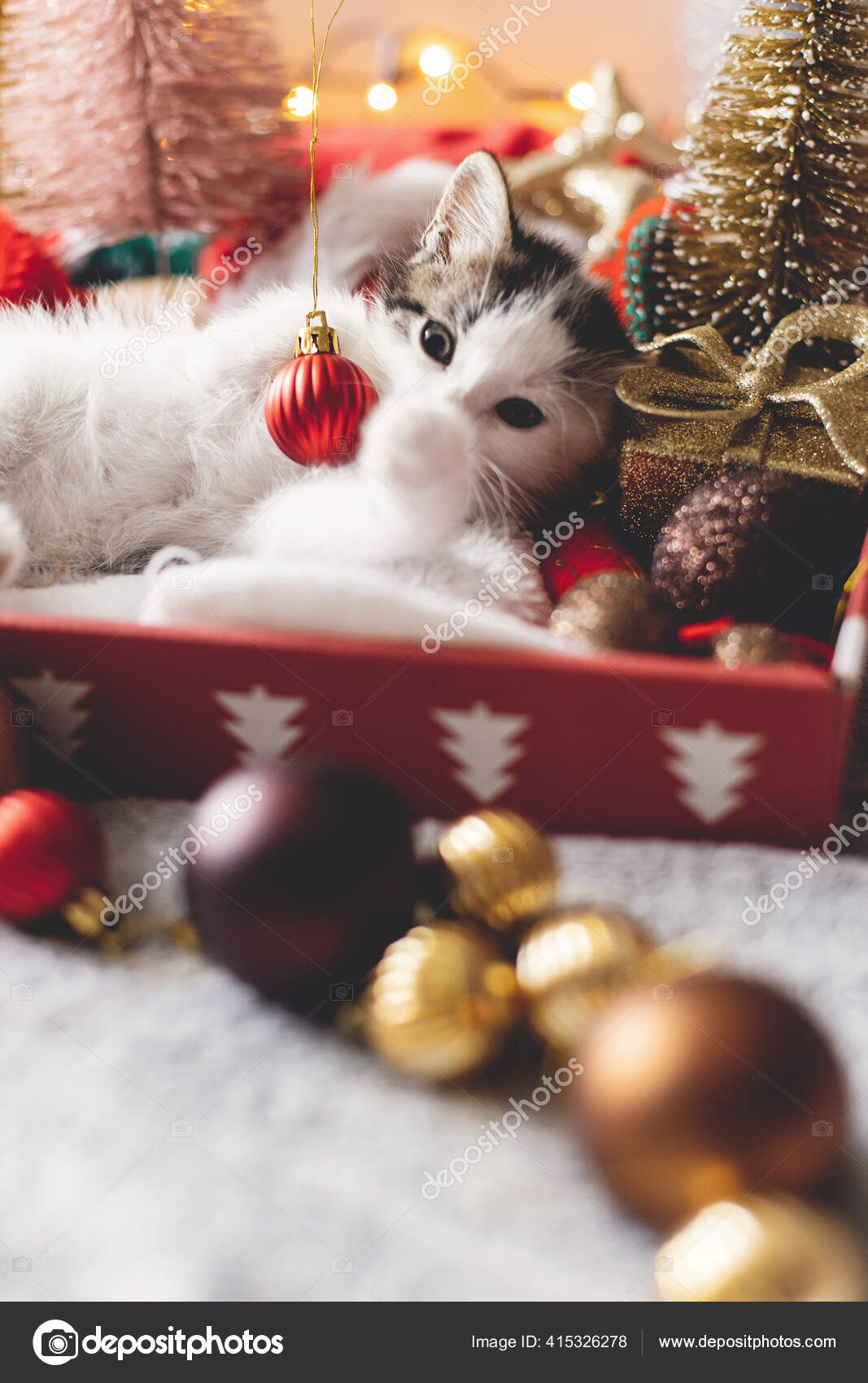 可爱的小猫在圣诞节红宝石上玩耍躺在盒子里背景是圣诞树和温暖灯光下的装饰品圣诞快乐及节日快乐——图库图片© Sonyachny #, image size:1067x1700