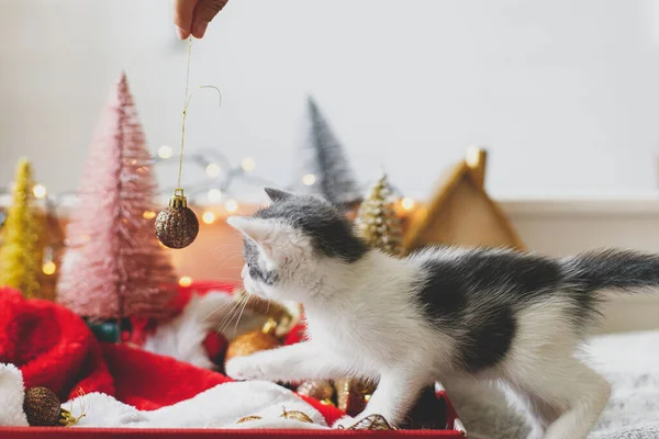 Gatinho Adorável Brincando Com Bugigangas Natal Caixa Com Chapéu Papai — Fotografia de Stock