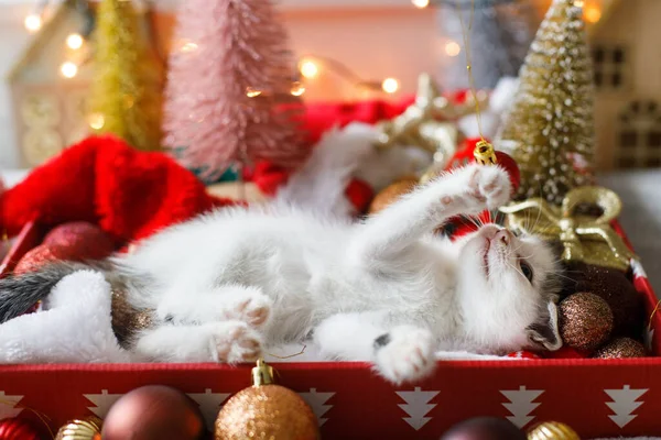 クリスマスツリーや暖かい照明の装飾を背景にサンタの帽子と箱に横たわって クリスマスの赤い泡で遊ぶかわいい子猫 メリークリスマスとハッピーホリデー — ストック写真