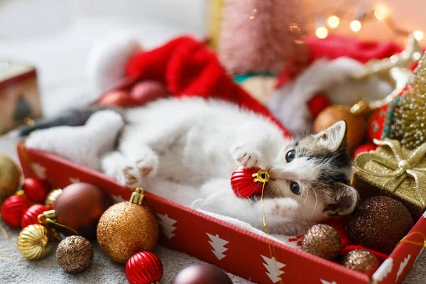 Adorable Gatito Jugando Con Bauble Rojo Navidad Acostado Caja Con —  Fotos de Stock