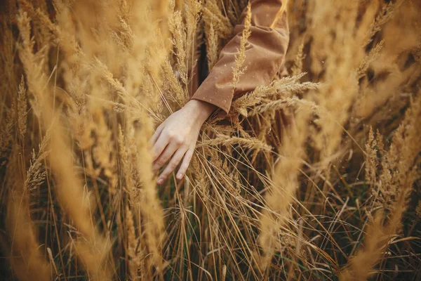 Стильна Бохо Жінка Тримає Руку Траві Травах Осінньому Полі Теплий — стокове фото