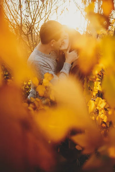 スタイリッシュな官能的なカップルは優しく抱擁し 暖かい夕日の光の中で黄金の秋の葉の間でキス 若いファッショナブルな男性と女性が秋の木を受け入れています ロマンチックな瞬間 — ストック写真