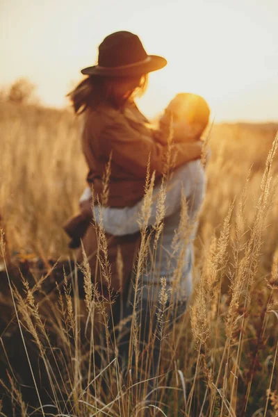 Tráva Byliny Teplém Západu Slunce Pozadí Rozmazaného Páru Tančící Podzimním — Stock fotografie