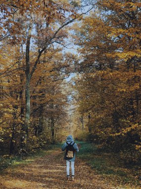 Sırt çantalı hippi kadın muhteşem bir sonbahar ormanında duruyor, güzel sarı ağaçların tadını çıkarıyor. Düşen yapraklarla ormanda yürüyüş yapan bir gezgin, huzurlu bir an.