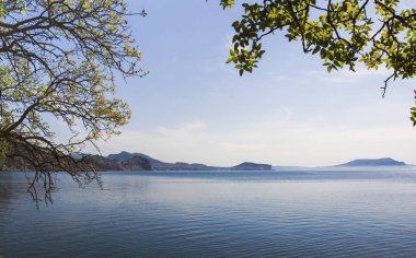Deniz alanı dalları ve yaprakları ağaçların ön planda tarafından çerçeveli. Crimea.