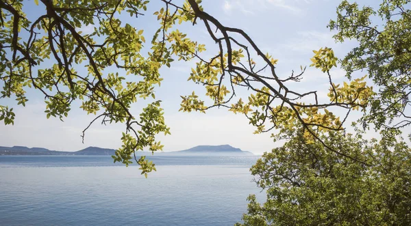 Las Ramas Los Árboles Encorvado Sobre Mar Las Montañas Horizonte — Foto de Stock