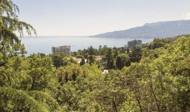 Bahar Crimea.Top görünümü Karadeniz kıyılarının yemyeşil bitki örtüsü.