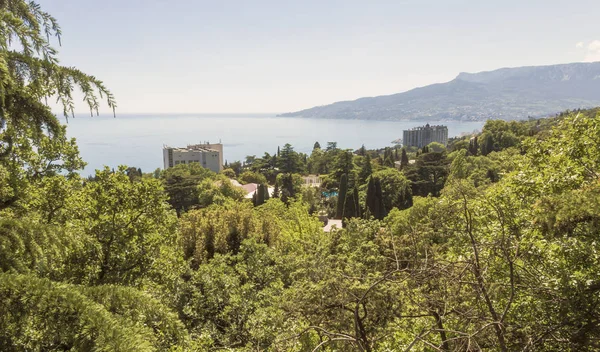 Weelderige Vegetatie Van Lente Crimea Top Uitzicht Kust Van Zwarte — Stockfoto
