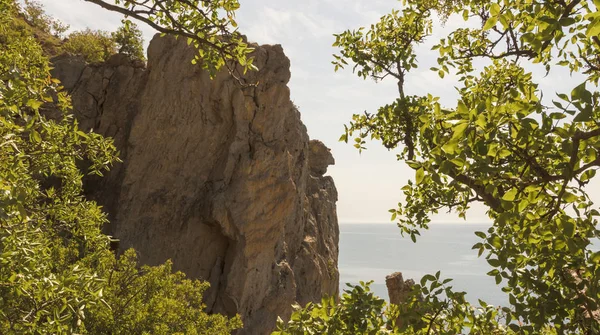 Вид Скалу Море Через Ветви Деревьев Переднем Плане Крым — стоковое фото