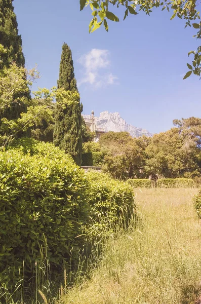 Zengin Bitki Örtüsü Ağaçlar Vorontsov Park Spring Kırım Çalılar — Stok fotoğraf