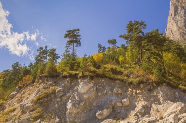 Kayalık dağ yamaçlarında sonbahar ormanı büyüyor. Alt manzara. Kuzey Kafkasya..