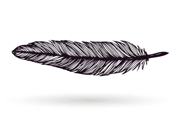手绘羽毛被隔离在白色背景 艺术墨水矢量插图 古老的部落羽毛 轮廓向量绘图 — 图库矢量图片