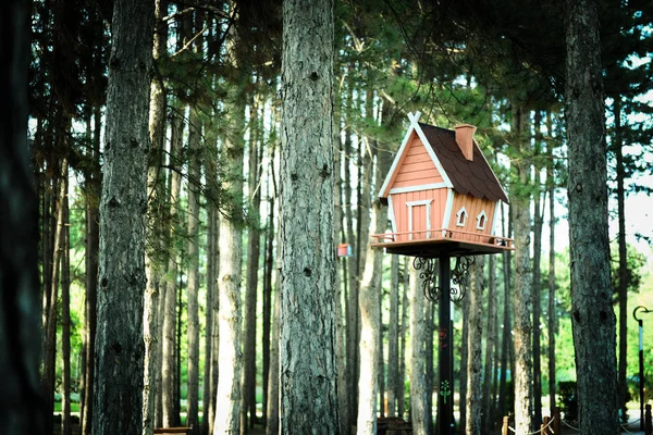 在松树林的家形状的木鸟房子 — 图库照片
