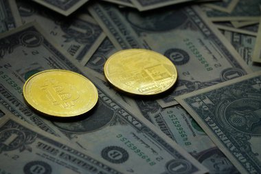 Bitcoin ve biz dolar yakın görünüm
