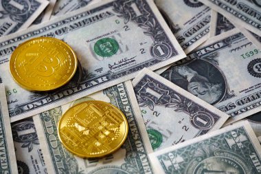 Bitcoin ve biz dolar yakın görünüm