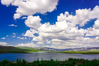 Türkiye 'de Erzurum Kedi Yolu' ndaki manzaralı tarlalar ve çayırlar bulutlu bir günde