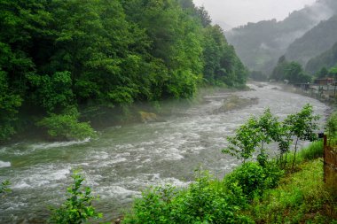 Rize Türkiye 'deki Karadeniz Karadeniz Karadeniz Bölgesi' nin şaşırtıcı orman ve nehir manzarası Camlihemsin Kedi Köyü