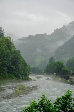 Rize Türkiye 'deki Karadeniz Karadeniz Karadeniz Bölgesi' nin şaşırtıcı orman ve nehir manzarası Camlihemsin Kedi Köyü