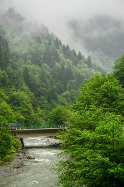 Rize Türkiye 'deki Karadeniz Karadeniz Karadeniz Bölgesi' nin şaşırtıcı orman ve nehir manzarası Camlihemsin Kedi Köyü