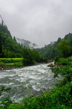 Rize Türkiye 'deki Karadeniz Karadeniz Karadeniz Bölgesi' nin şaşırtıcı orman ve nehir manzarası Camlihemsin Kedi Köyü