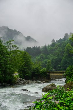 Rize Türkiye 'deki Karadeniz Karadeniz Karadeniz Bölgesi' nin şaşırtıcı orman ve nehir manzarası Camlihemsin Kedi Köyü