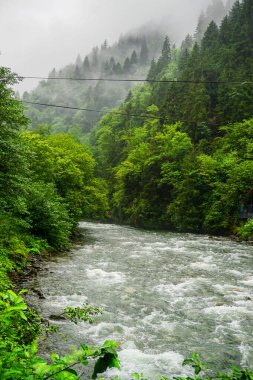 Rize Türkiye 'deki Karadeniz Karadeniz Karadeniz Bölgesi' nin şaşırtıcı orman ve nehir manzarası Camlihemsin Kedi Köyü