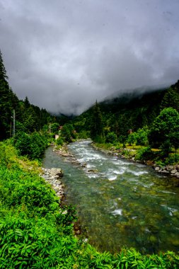 Rize Türkiye 'deki Karadeniz Karadeniz Karadeniz Bölgesi' nin şaşırtıcı orman ve nehir manzarası Camlihemsin Kedi Köyü