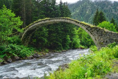 Rize Türkiye 'deki Karadeniz Karadeniz Karadeniz Bölgesi' nin şaşırtıcı orman ve nehir manzarası Camlihemsin Kedi Köyü
