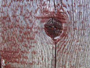 Ziyaret eden eski Yönetim Kurulu ve güneş ve yağmur ve kar, sıcak ve soğuk ve