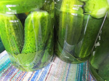 Canning. Ev yapımı kuru sıkı. Kavanozların içinde salatalık turşusu