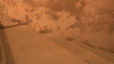 Bodrumda merdiven yukarı adım yürüyen genç kadının bacakları yakın