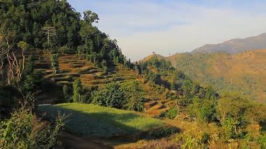 Dağın üzerinde sebze bahçesi. Nepal, yaz.