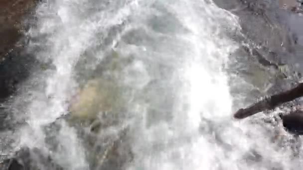 Gros plan d'une rivière de montagne avec rapides et pierres .