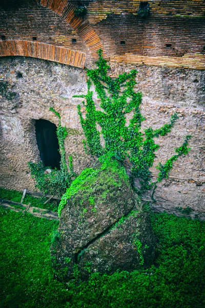 Oude Romeinse Ruïnes Rome Italië — Stockfoto