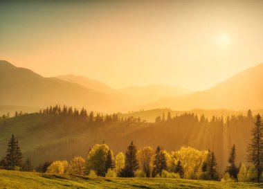 Parlak puslu akşam. Bahar dağ Vadisi. Karpatlar, Ukrayna, Europe.