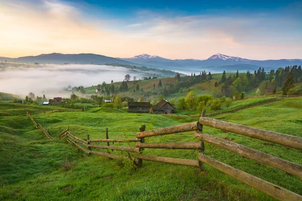 Carpathian Alpine Village Covered Fresh Spring Grass Morning Time — Stock Photo, Image