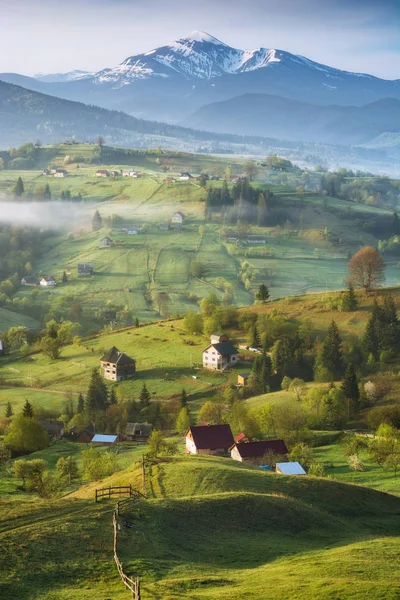 Morgonljus Ligger Spring Village Kullar Hoverla Ukrainas Högsta Berg — Stockfoto