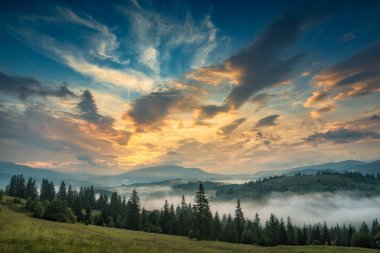 Yüksek dağ Vadisi batımında gökyüzünde altın bulutlar ile harika bir manzara. Dramatik ve güzel akşam sahne. Karpatlar, Ukrayna. Güzel dünya.