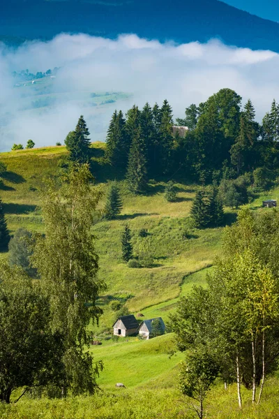 Casas Cárpatos Autênticos Prado Verde Cárpatos Ucranianos Europa — Fotografia de Stock
