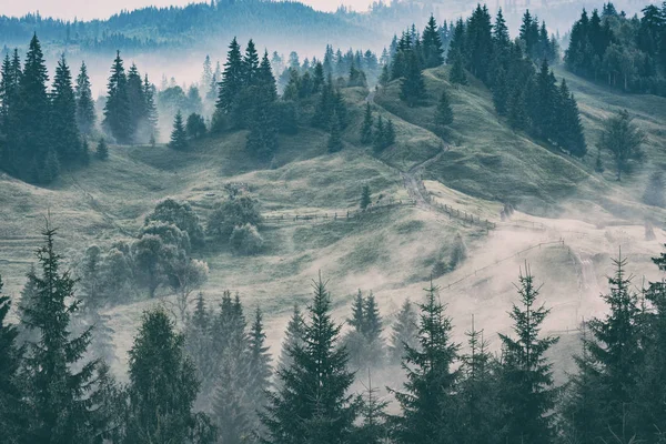 Valea Muntelui Ceţos După Ploaie Grunge Film Epocă Stilizare — Fotografie, imagine de stoc