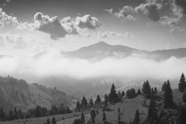 Erken Karpat puslu sabah Vadisi en yüksek Ukraynalı Dağı bir ufukta. Bahar zamanı. Siyah ve beyaz.