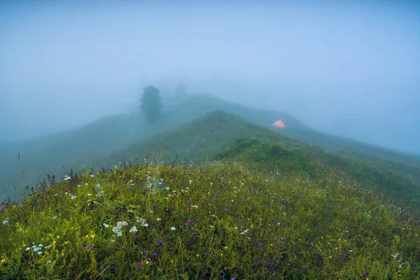 Горный Холм Покрытый Свежей Зеленой Травой Цветами Глубоком Синем Тумане — стоковое фото
