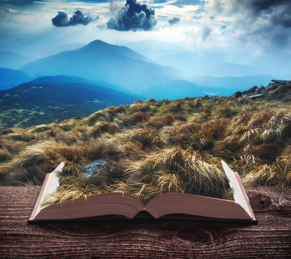 The wind playing with high yellow grass on the pages of an open magical book. Majestic landscape. Nature and education concept.