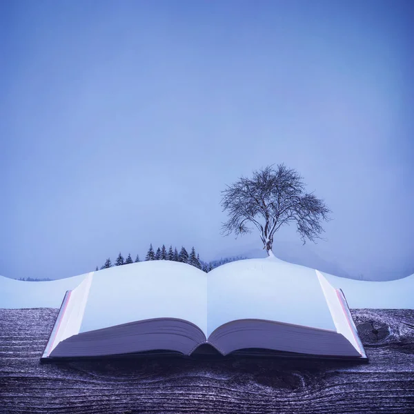 Magányos Egy Dombon Hóval Friss Mágikus Nyitott Könyv Lapjain Fenséges — Stock Fotó