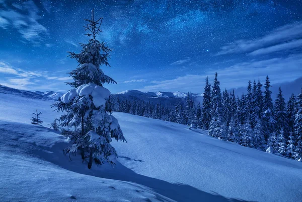 Árvore Abeto Uma Colina Montesa Coberta Neve Uma Luz Lua — Fotografia de Stock