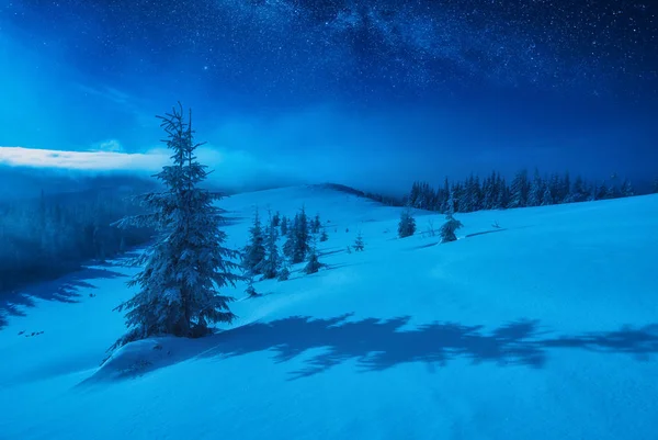 Vale Inverno Coberto Com Neve Fresca Uma Luz Lua Nascente — Fotografia de Stock